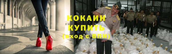 стаф Заводоуковск