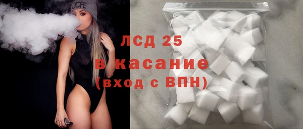 стаф Заводоуковск