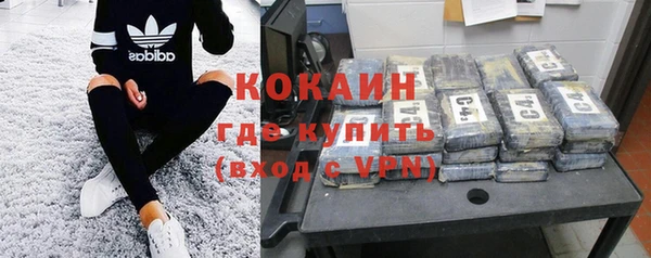 стаф Заводоуковск