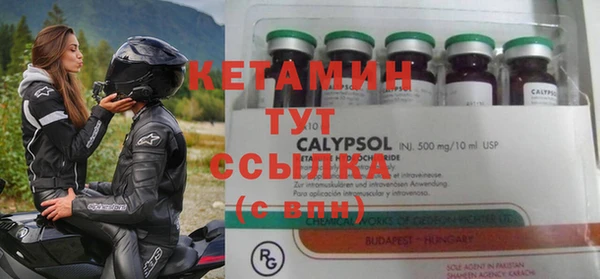 стаф Заводоуковск