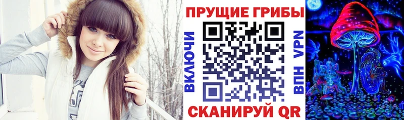 Псилоцибиновые грибы мухоморы  даркнет сайт  мега ONION  Каменск-Шахтинский 